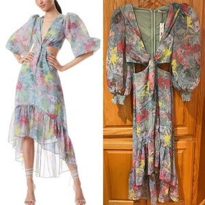 ALICE + OLIVIA X Lola Schnabel Katia Twist-Front Cutout Floral Maxi Dress Size 2
